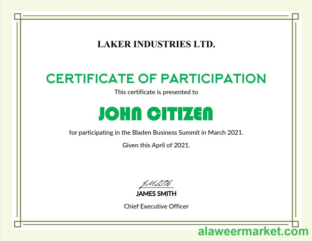 USA Modern Participation cert